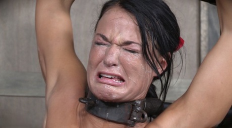 Dark haired chick London River is forced to suck cock while in bondage 10660558