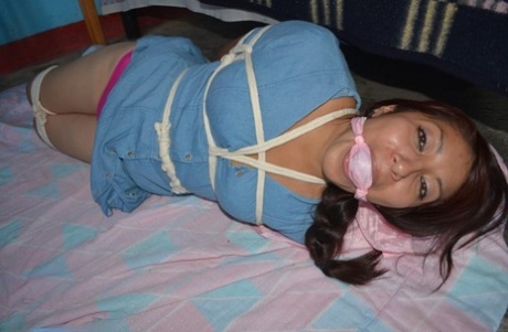 Solo girl shows her pink underwear while hog tied and gagged 29513414