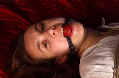 Tattooed white girl is left hogtied on a bed with a ball gag in her mouth 62316449