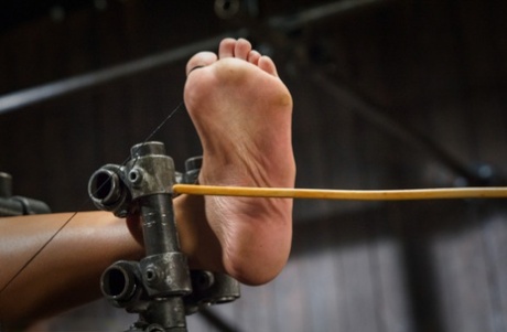Black girl is flogged and penetrated while restrained in bondage 30660669
